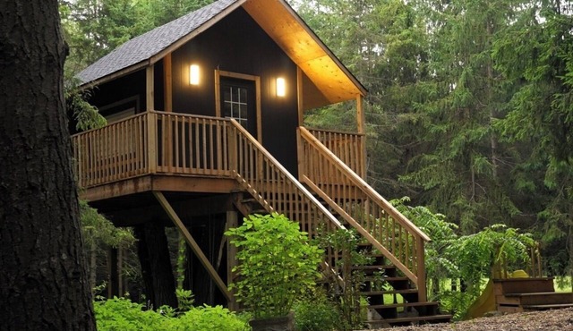 Forest Getaway in New Tecumseth