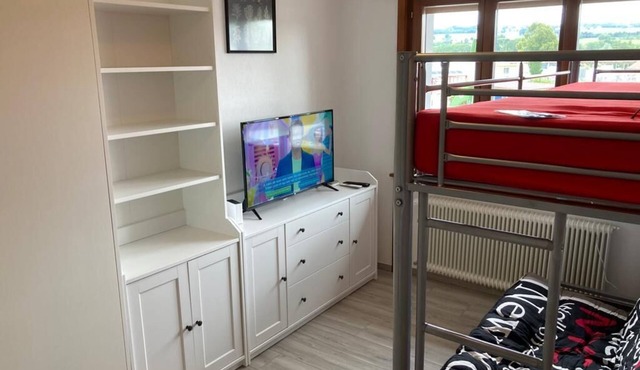 Furnished studio near Vevey and Lausanne in Forel Lavaux in Forel (Lavaux)