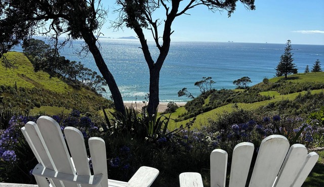 Gorgeous Whananaki bach with stunning sea views - walk to the beach & estuary. in Whananaki