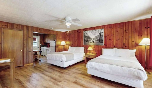 Lakeview pet friendly studio with pool, fire pit, canoes & paddle boats, & WiFi in Flat Rock
