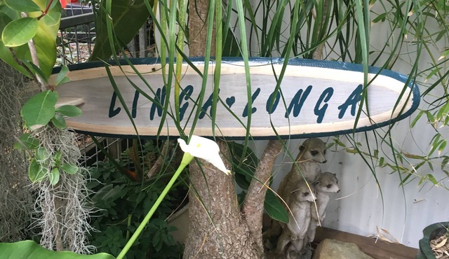Linga-Longa - beach studio in Narrawallee