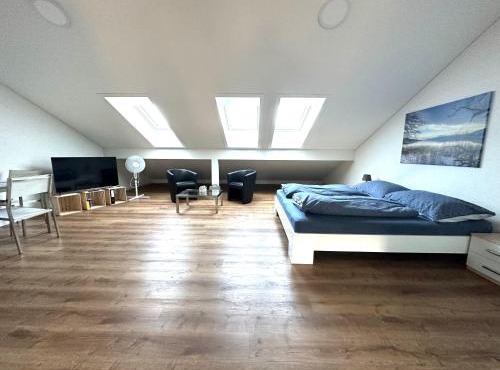 Neue Einzimmer Dachwohnung in Seengen