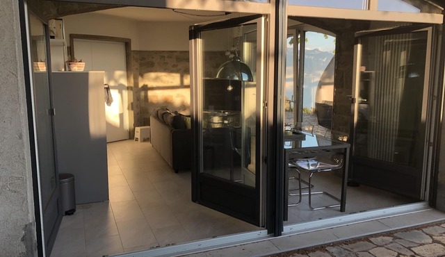 Panoramic APT in the Vineyard with stunning 360 ° view of Lake Geneva and Alps in Puidoux