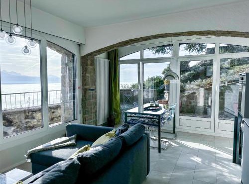 Panoramic Room in the vineyard,stunning views of lake and Alps in Puidoux