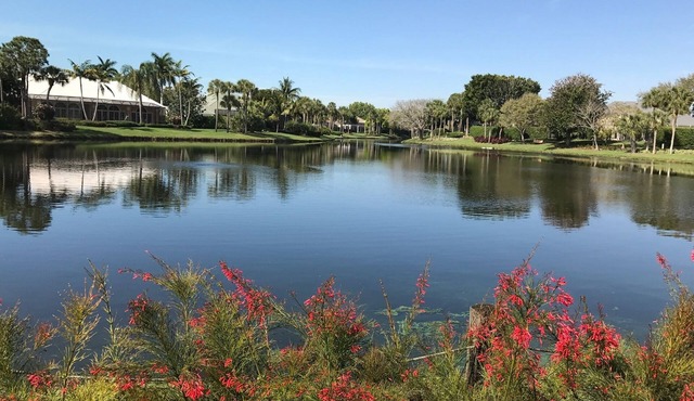 Pelican Bay 2 Bdrm, Updated Condo in Laurel Oaks. Fantastic view of Oakmont Lake