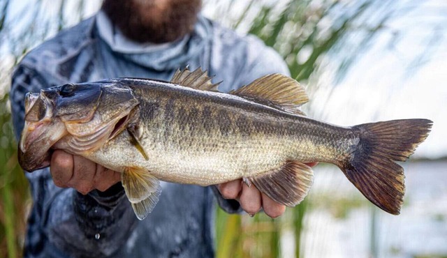 Pet Friendly | Private Dock & Direct Canal Access in Okeechobee