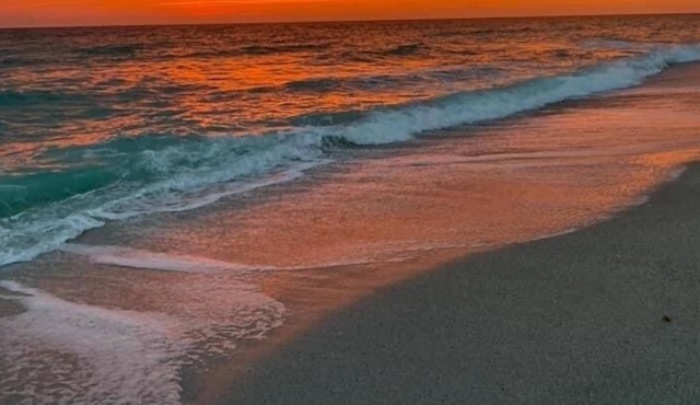 Pet friendly retreat close to beaches and restaurants
