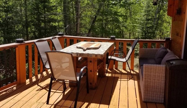 Quiet and relaxing North Michigan gateway in BOYNE FALLS