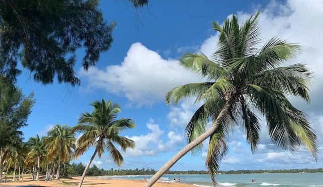 Rainforest Beach Condo, Your Tropical Getaway! Tennis. Golf. Private Beach Gate. in Río Grande