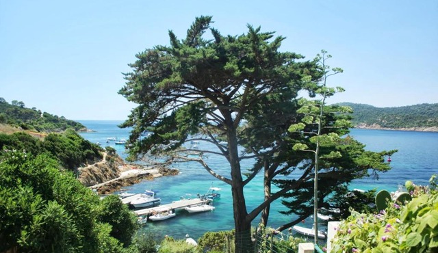 RC d'un Cabanon écologique ile du levant Naturiste reservable du samedi au samedi in Île du Levant
