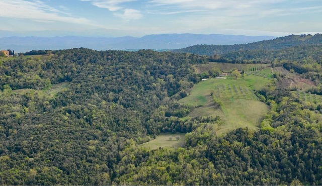 Rustic accommodation in nature for four people with pet in the middle of Tuscany. in Campagnatico