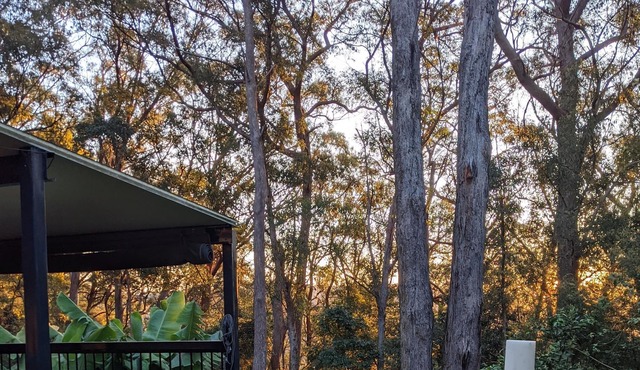 Springbrook Gold Coast Hinterland Hikers Cottage in Springbrook