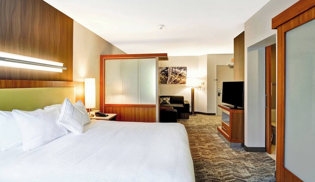 SpringHill Suites By Marriott Columbia Fort Meade Area in Columbia