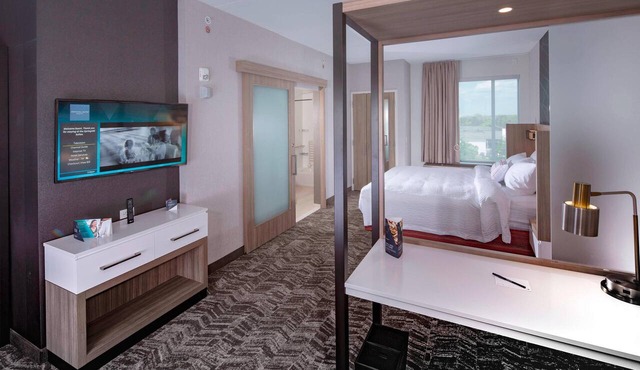 SpringHill Suites by Marriott Newark Downtown in Newark
