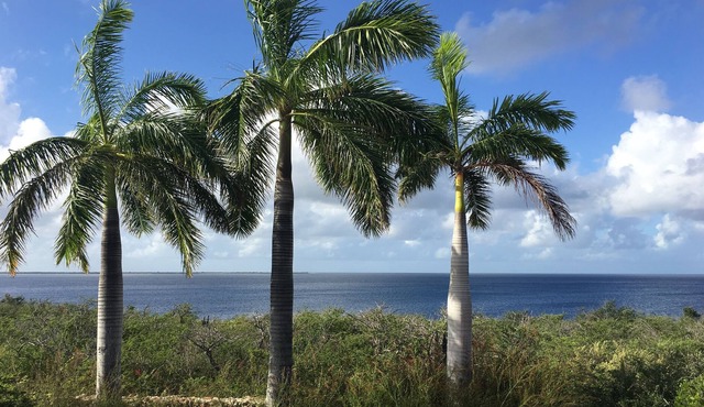 Stunning Oceanfront Villa, Direct Sea Access, Private Reef, Surrounded by Nature in Kralendijk