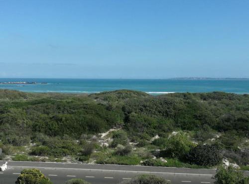 Surf Views in Cape Town