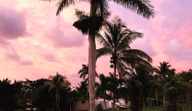 The Oasis: A cosy one-bedroom house in tropical Bokeelia with air conditioning