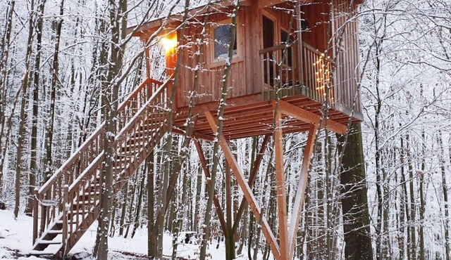 Tree house free space, living/sleeping room - Baumhaushotel Solling in Uslar