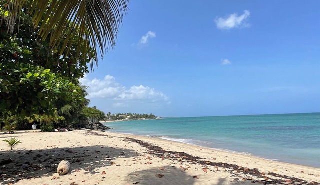 Tropical Getaway, Direct Beach Access, 5-Pools in Loiza PR