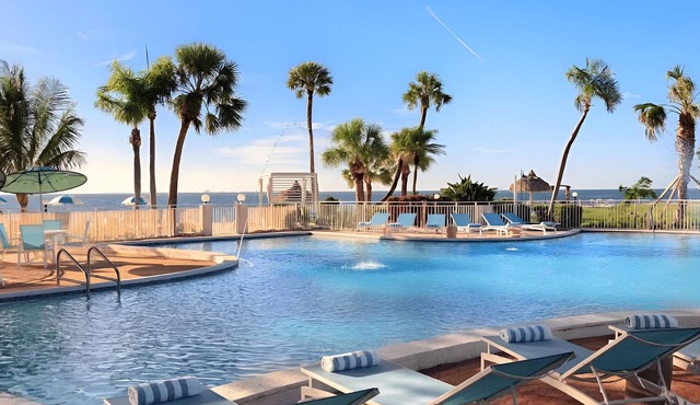 Uncover St. Pete's Gem | Steps Away from Art to Nature to Culinary Bliss