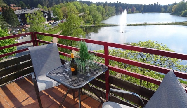 Vacation apartment/apartment for 2 guests with 32m² in Hahnenklee (95760) in Hahnenklee