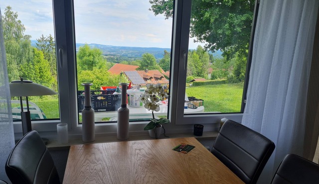 Vacation home/Bavaria/Bavarian forest conquer/recreation. .with garden fence. in Windorf