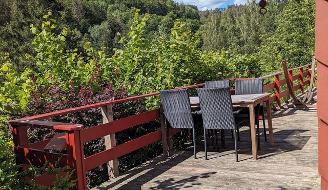 Vacation home with outdoor sauna in the Thuringian Forest in Schleusegrund