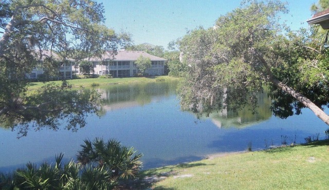 Wild Pines - Bonita Bay E-203