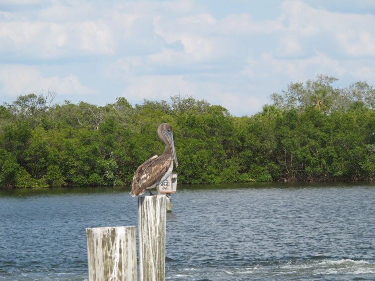 Photo of Others in Holmes Beach
