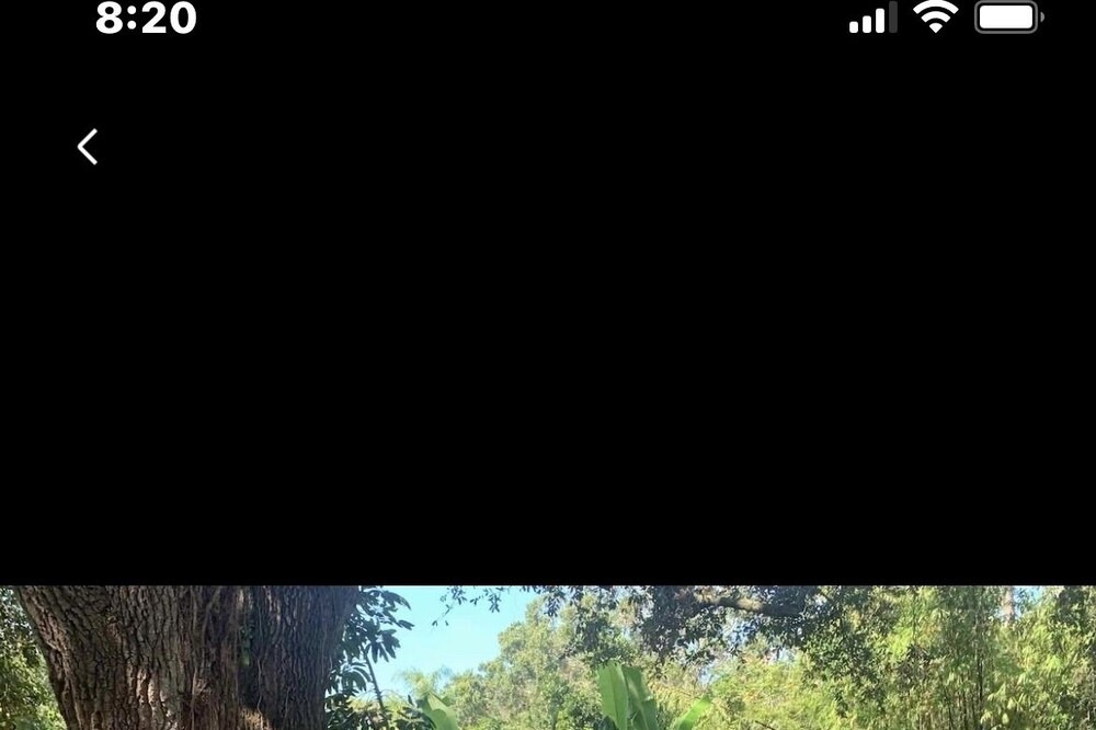 Photo of Outdoor in Bayou Oaks