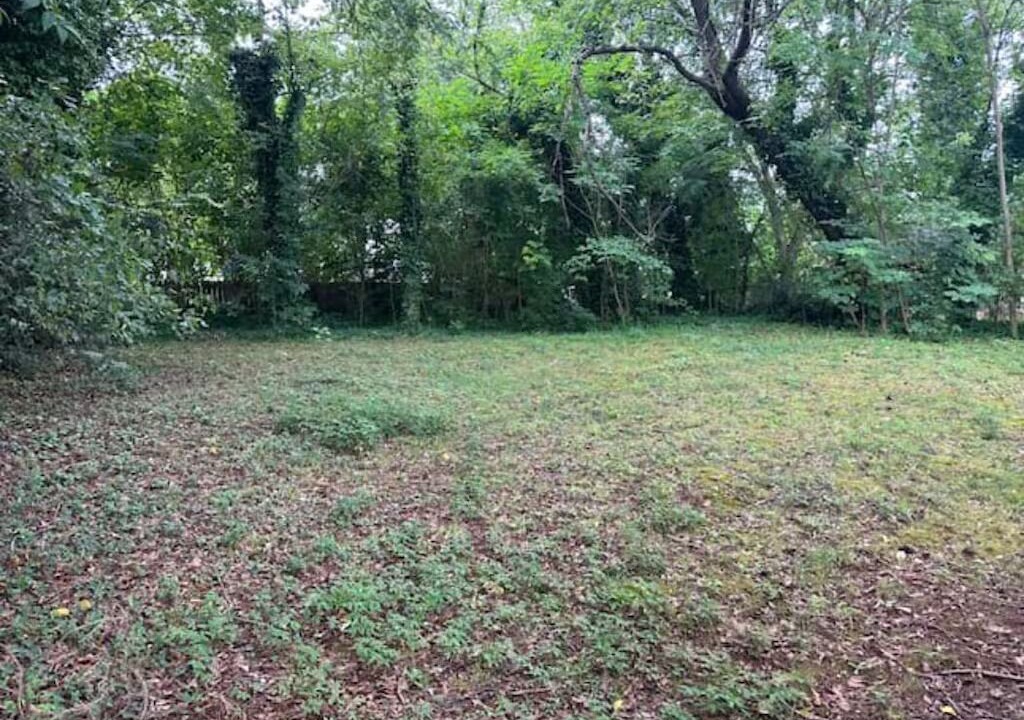 Photo of Outdoor in Spartanburg