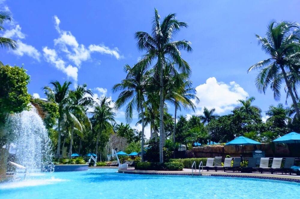 Photo of Outdoor in Estero