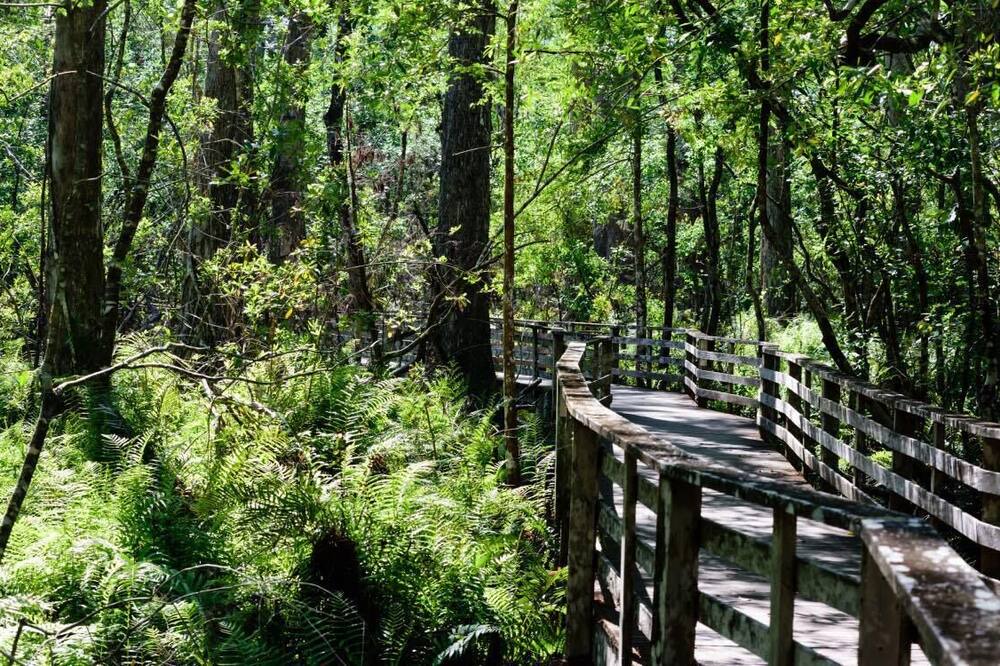 Photo of Outdoor in Estero