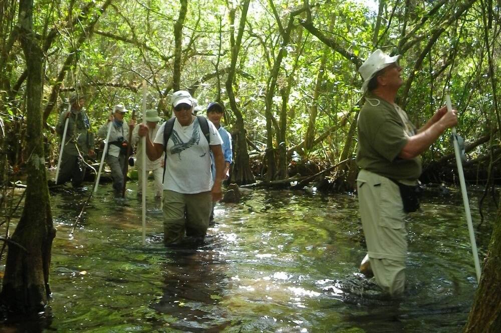Photo of Outdoor in Estero