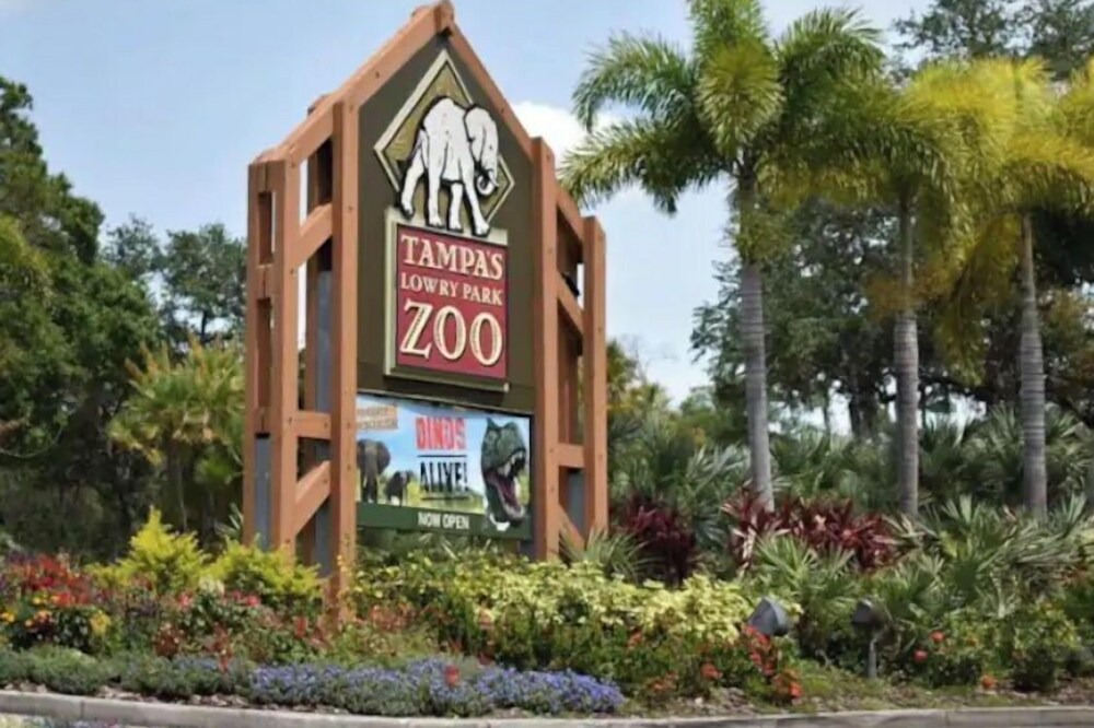 Photo of Others in Port Tampa City