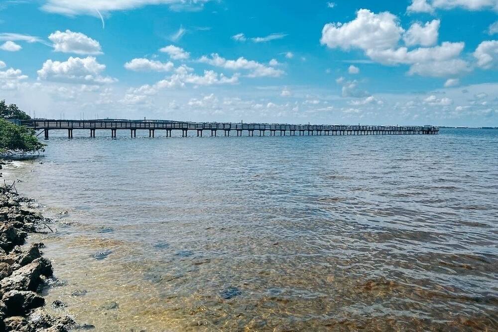 Photo of Others in Charlotte Harbor