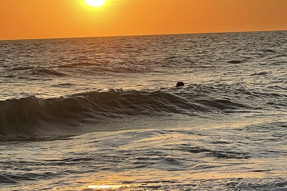 Photo of Others in Naples Park