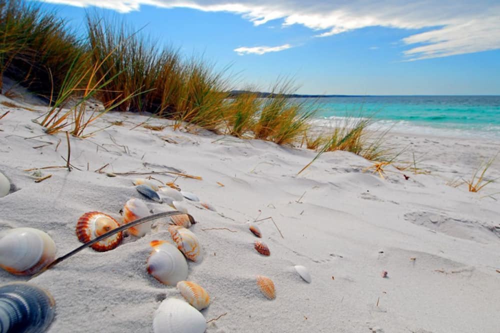 Photo of Outdoor in St. Pete Beach