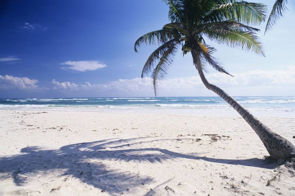 Photo of Outdoor in St. Pete Beach