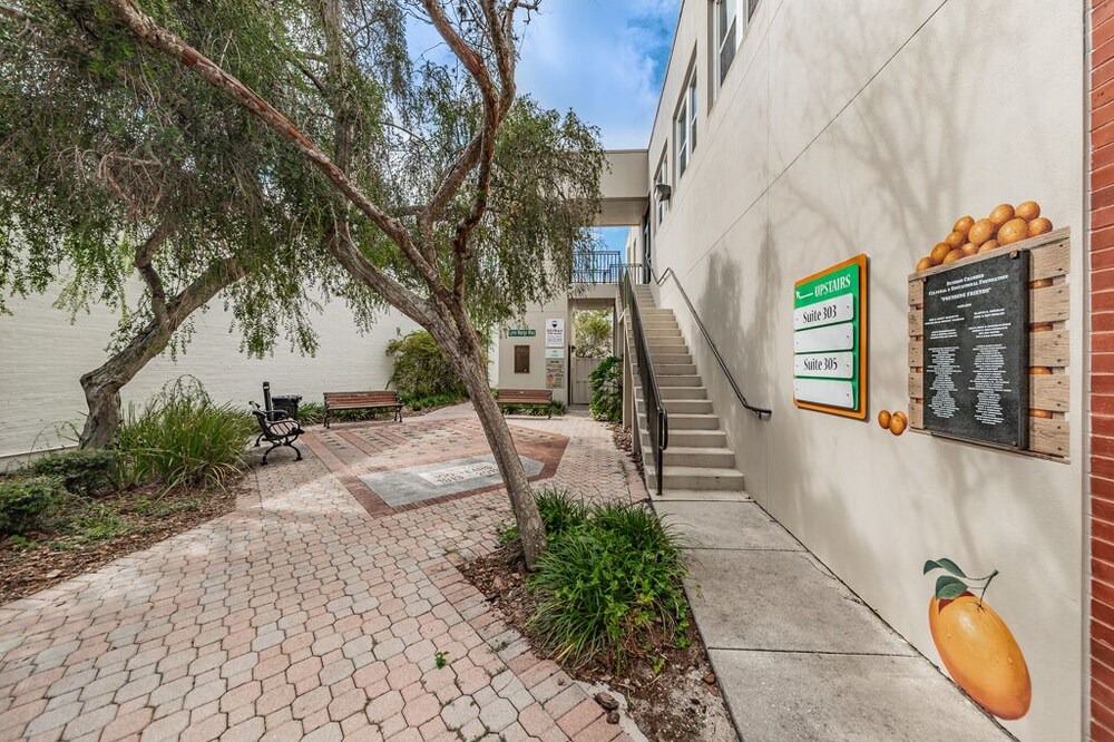 Photo of Outdoor in Downtown Dunedin