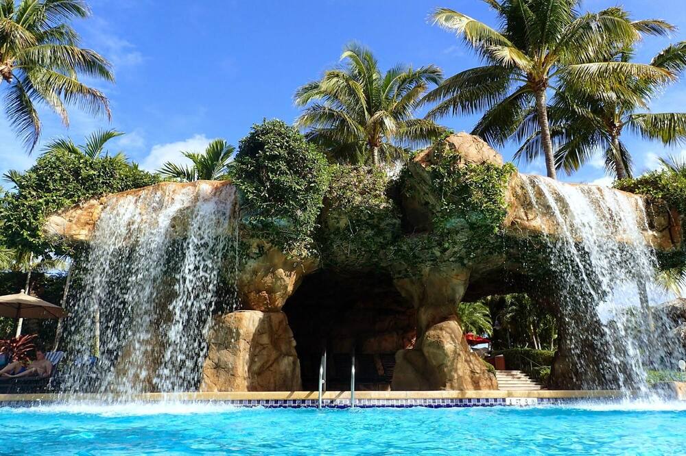Photo of Outdoor in Estero