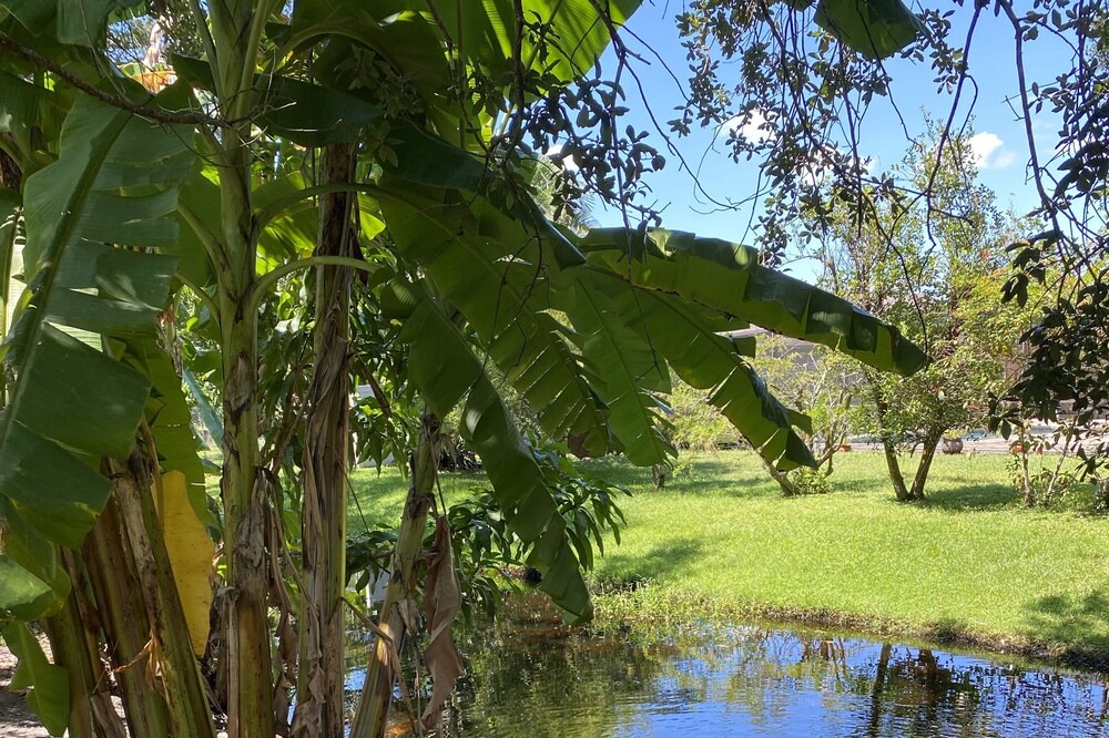 Photo of Outdoor in McGregor