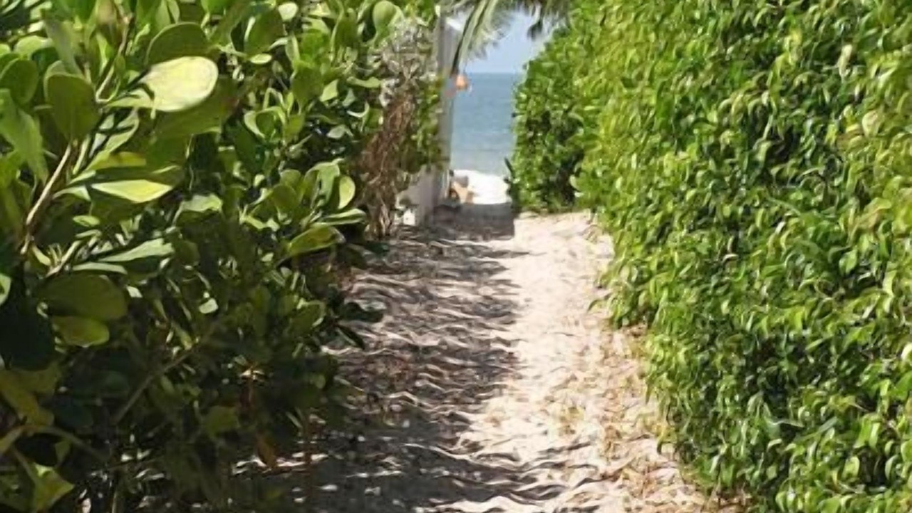 Photo of Outdoor in Mid Island