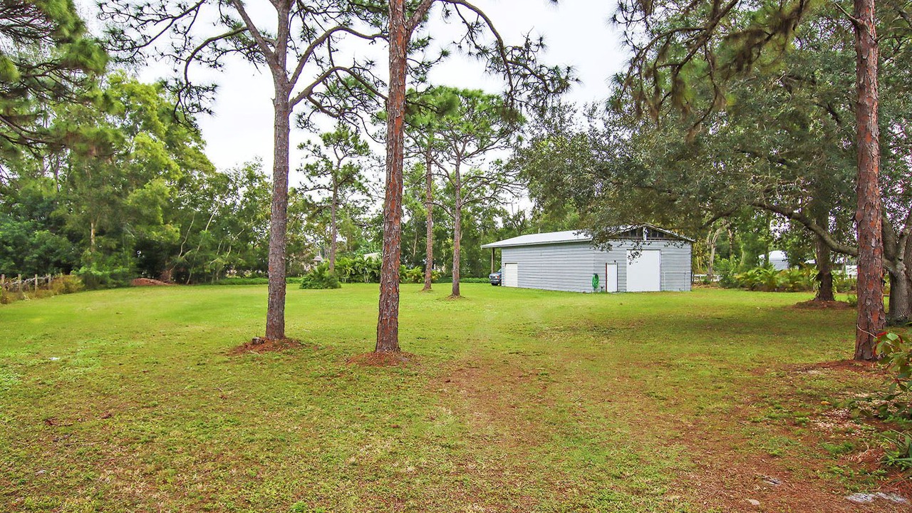 Photo of Outdoor in Saint James City