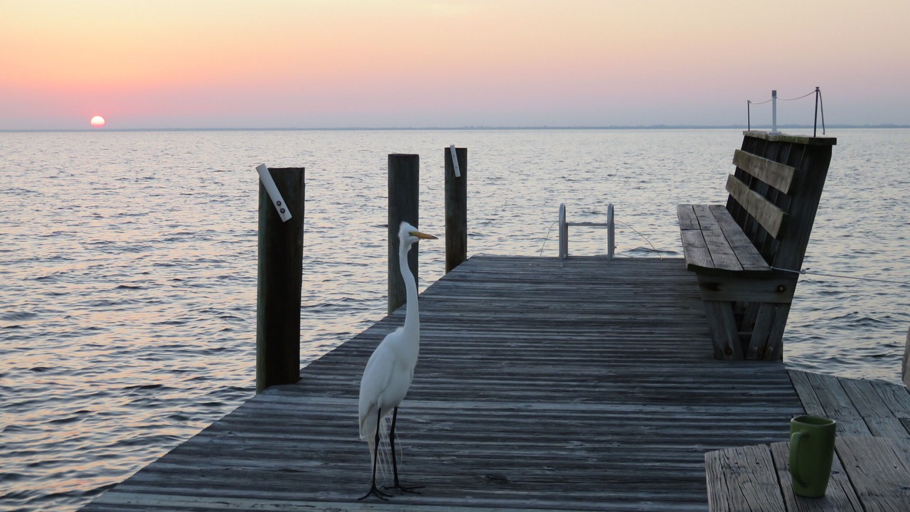 Photo of Others in Bokeelia
