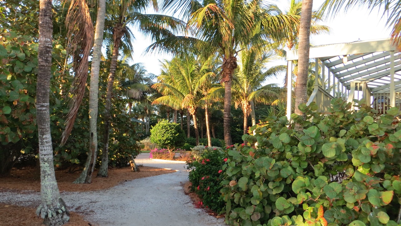 Photo of Outdoor in Bokeelia