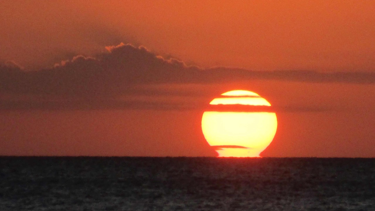 Photo of Others in Coquina Sands