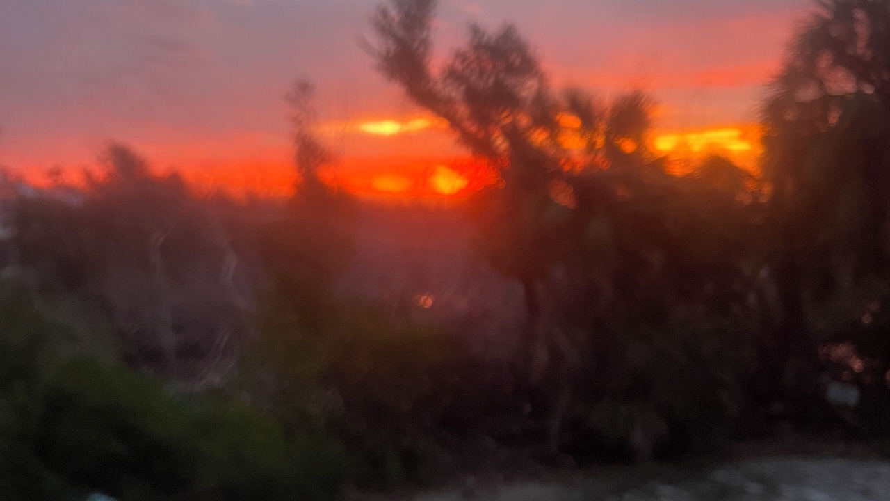 Photo of Others in The Dunes