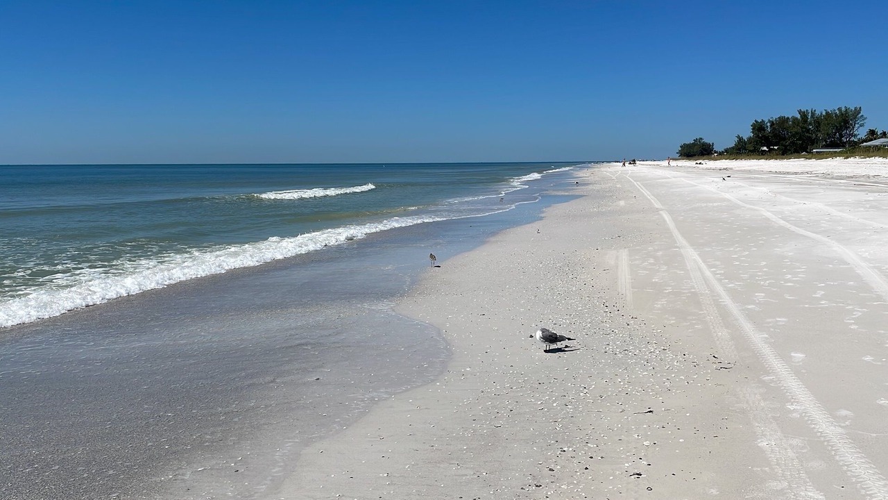 Photo of Others in Holmes Beach