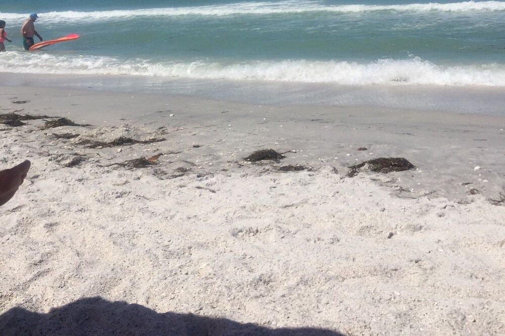 Photo of Others in South Gulf Cove